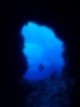 15804695287897.jpg