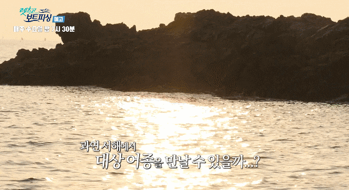 15804700691449.gif