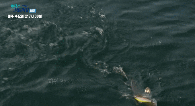 15804700713789.gif
