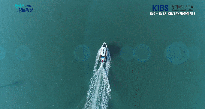 15804701805235.gif
