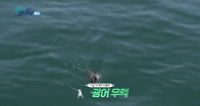 15804702370073.gif