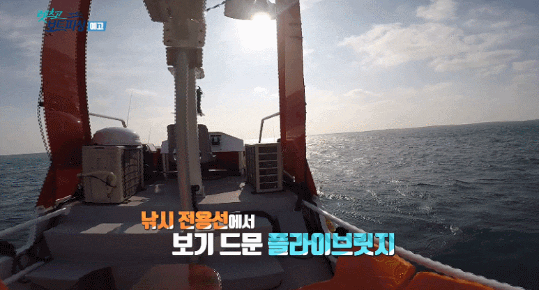 15821934382328.gif