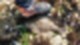 15815603485125.jpg